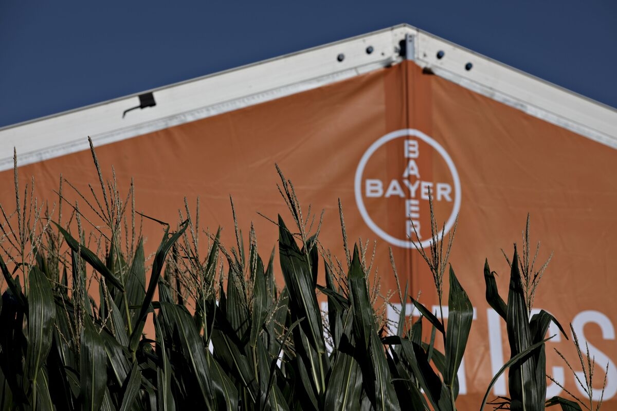 Bayer Gets Boost From Older Drugs, Corn Seeds in Outlook Lift