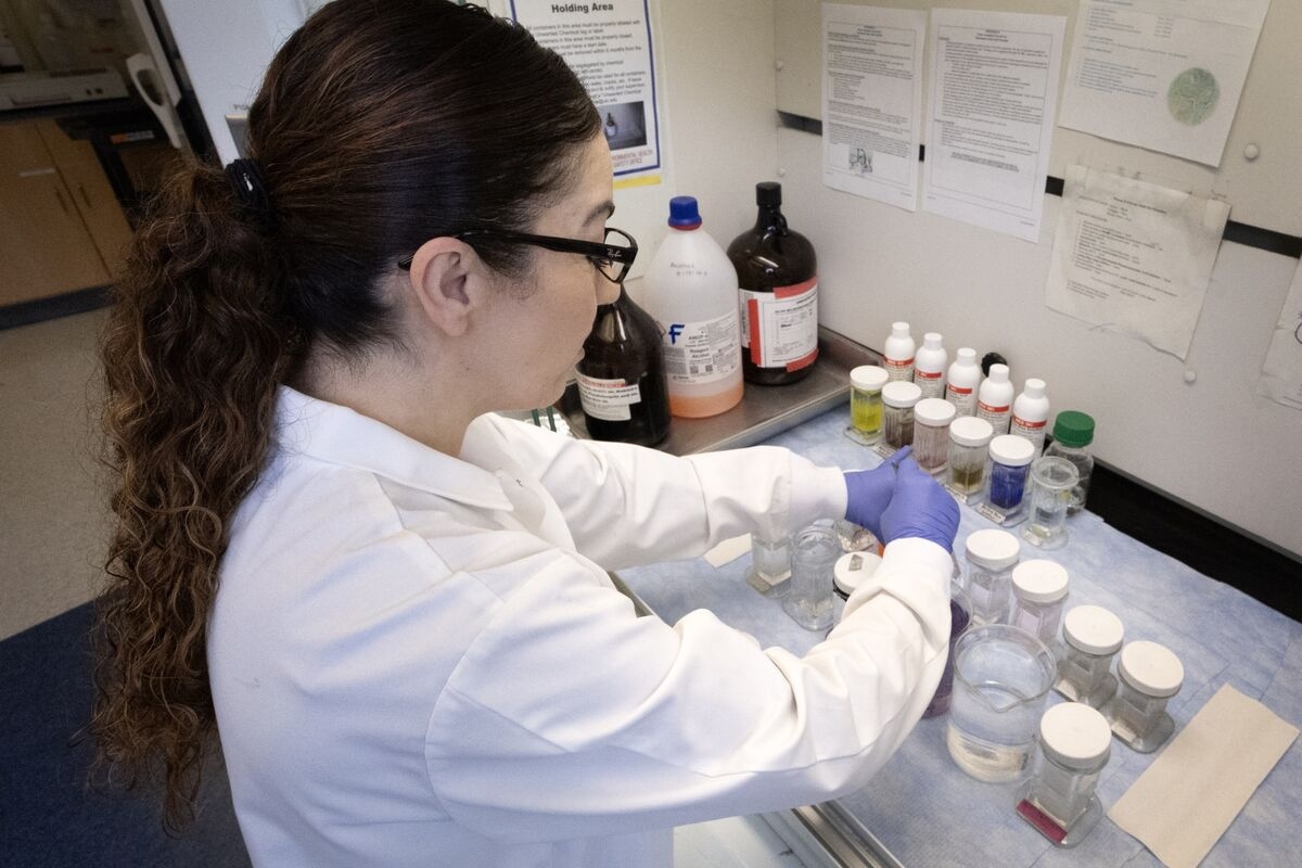 Politicizing Scientific Research Comes With a Hefty Price