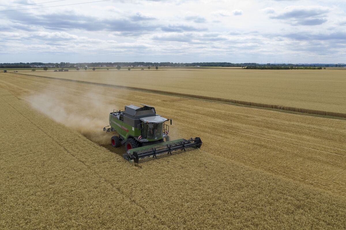 Tractor Makers Warn That Tariffs Will Raise Machinery Prices for Global Farmers