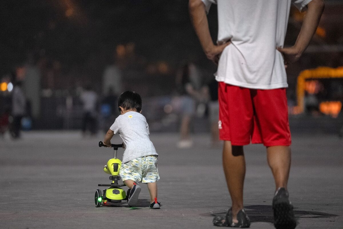 China Birth Rate Plans Boost New Zealand's Top-Performing Stock