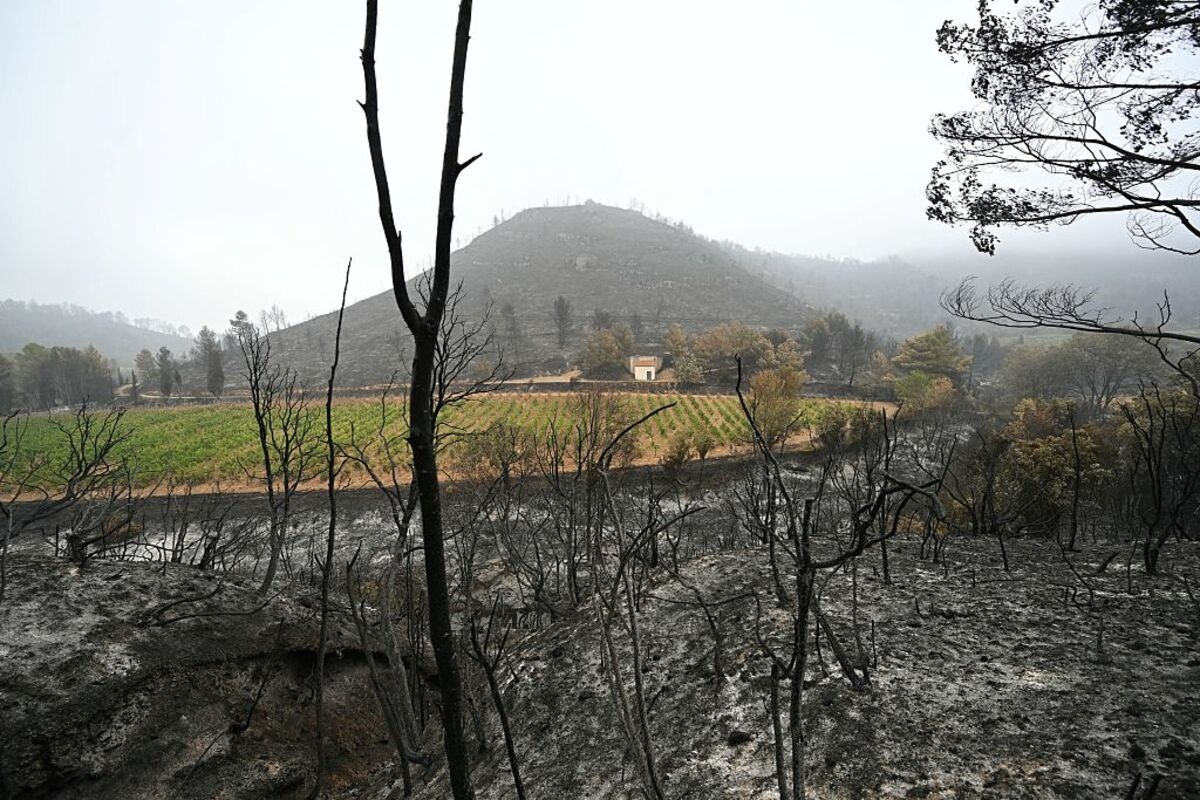 French Fires Are Under Control But Heat Wave Set to Intensify