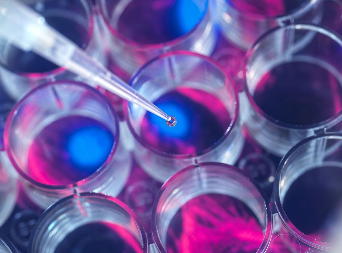 Zealand Pharma Hires Lilly Executive as Biotech Ramps Up in Obesity
