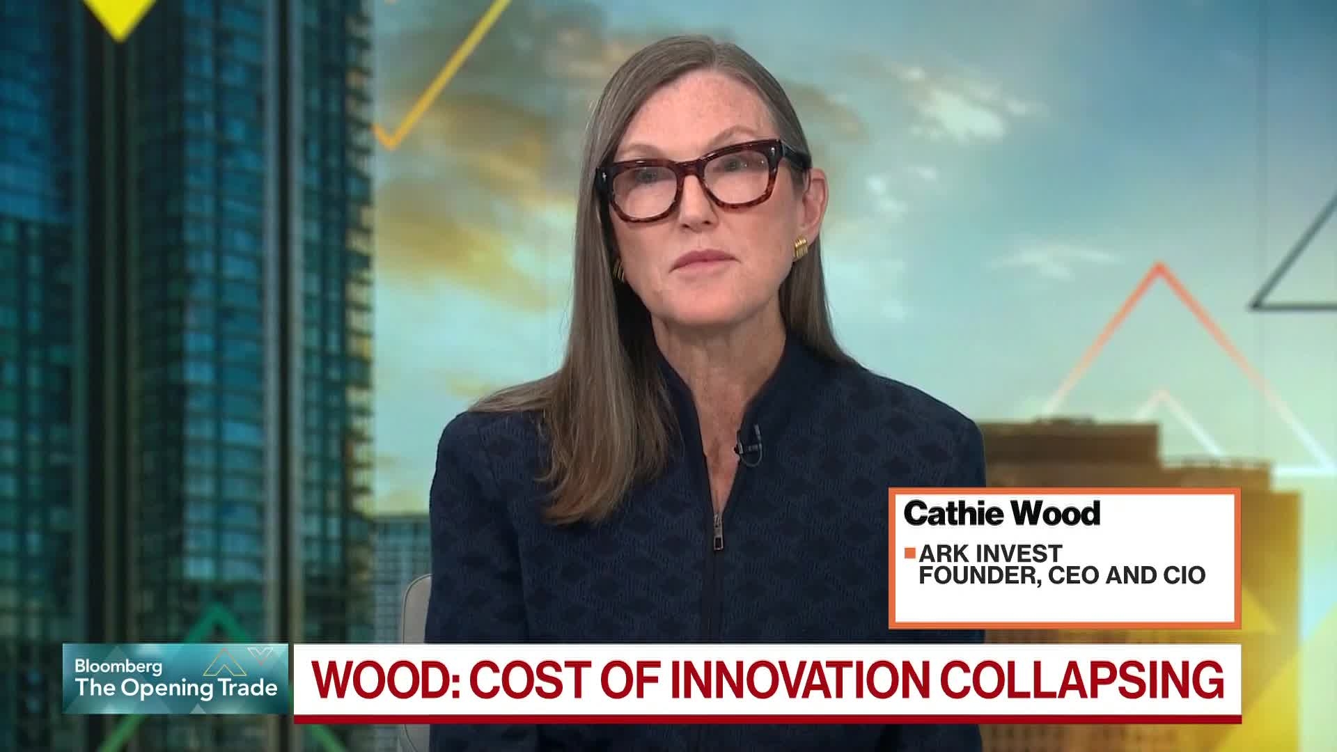 Ark's Wood Is Bullish on Broader US Technology Sector