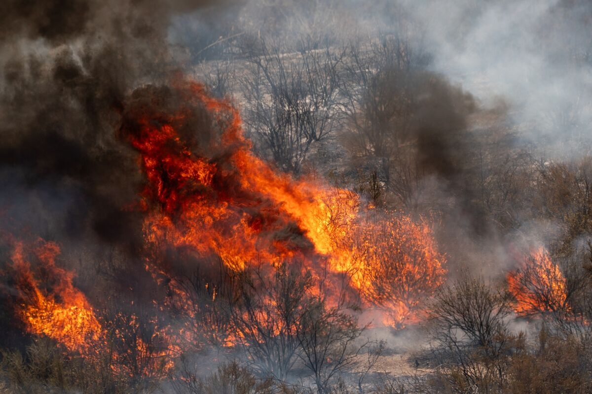 Fires, Storms and Blazing Temperatures Forecast for Western US