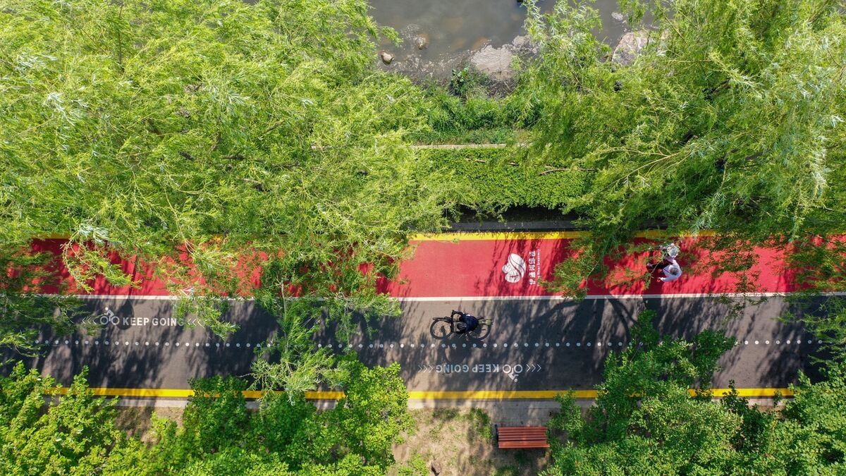 China's Green Push Created More Hay Fever Allergies