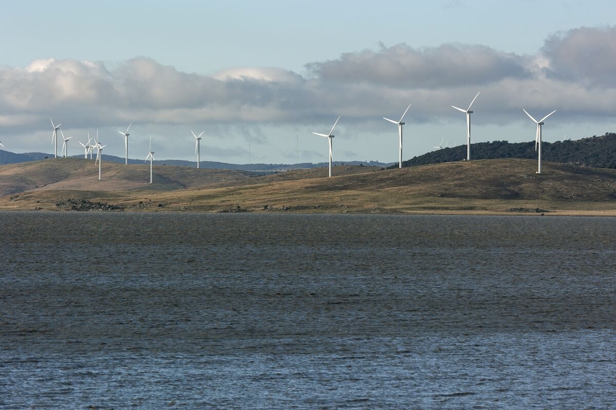 What Albanese and Dutton Will (Or Won't) Do For The Green Energy Transition