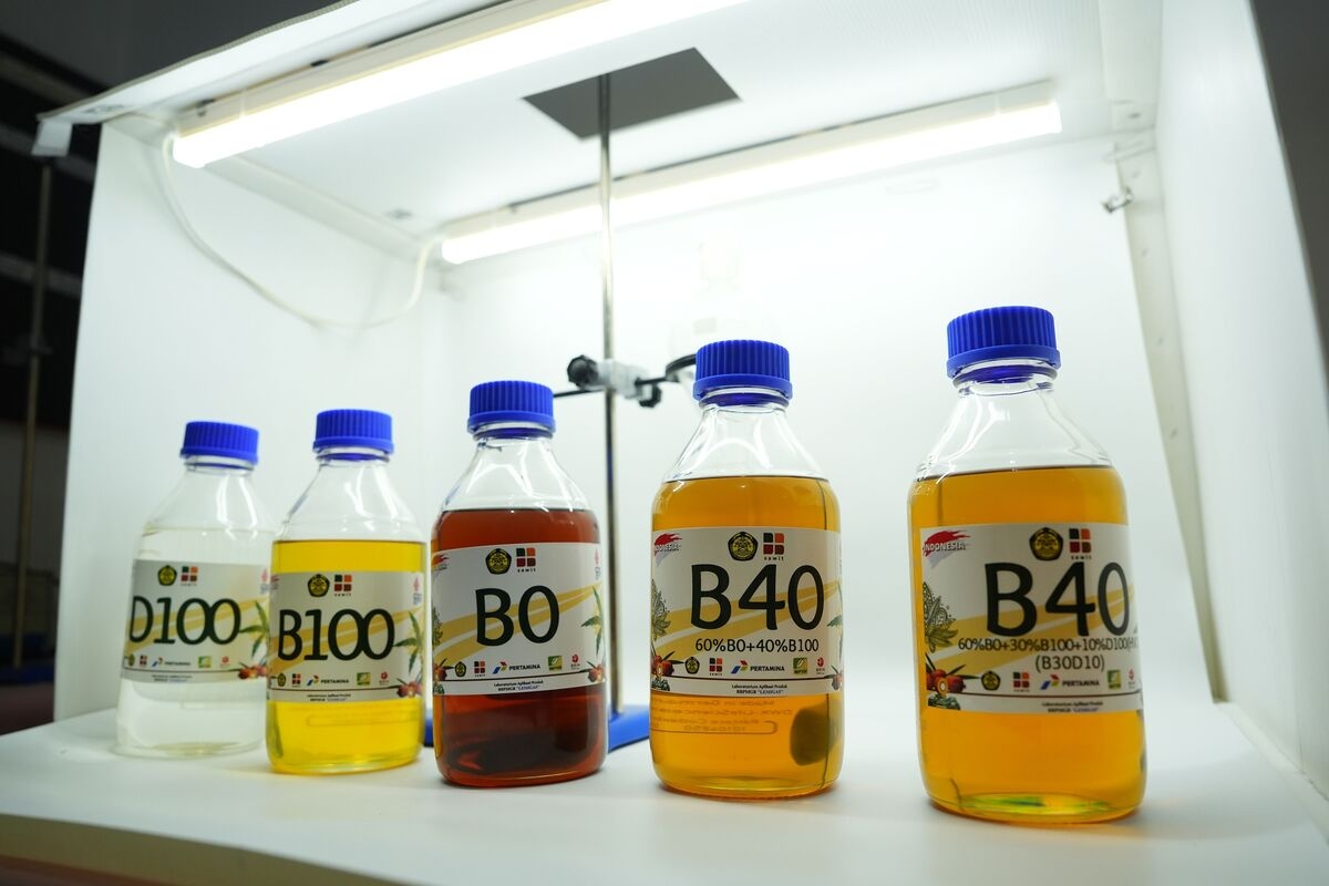 Indonesia Signals Later Start to Higher Biodiesel Blending Plan