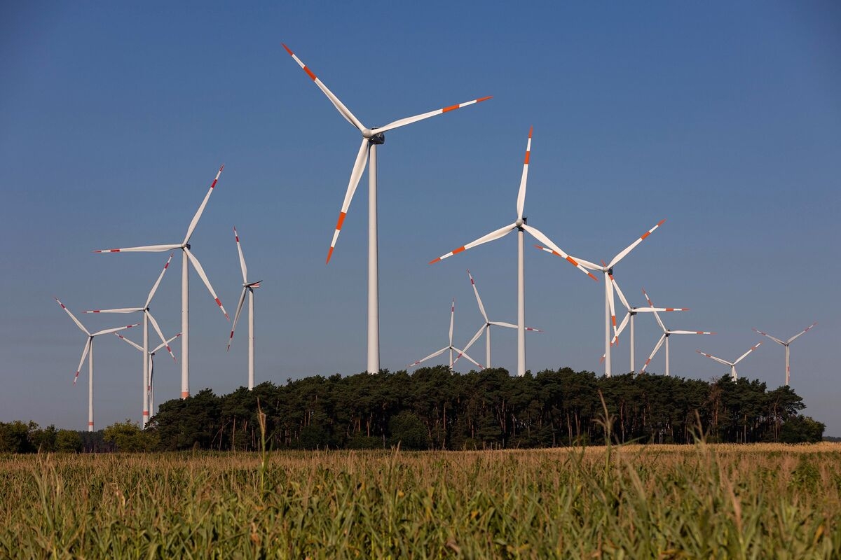 Citi Banker Says Clients Consider Climate Investments Outside US