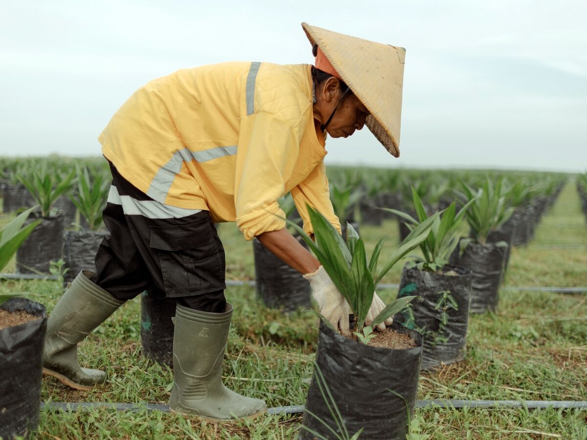 Indonesia Is Pursuing the Worst Form of Solar Power