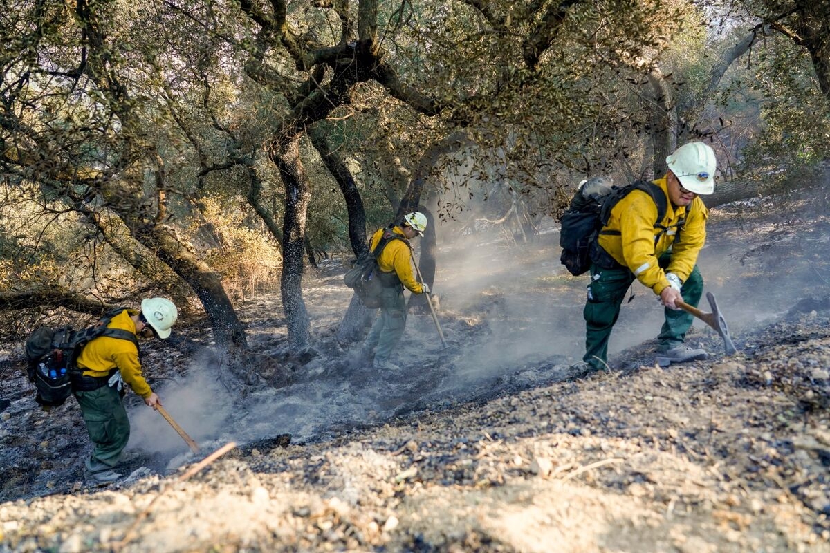 LA City Council Passes Budget That Trims Police, Fire Spending