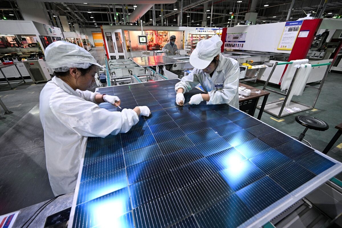 China's Solar Chiefs Call for Government Measures to Help Sector
