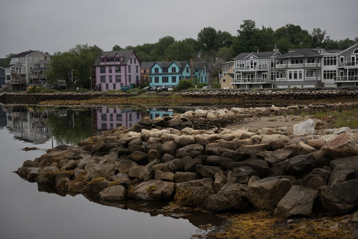 To Head Off Severe Storm Surges, Nova Scotia Invests in ‘Living Shorelines'