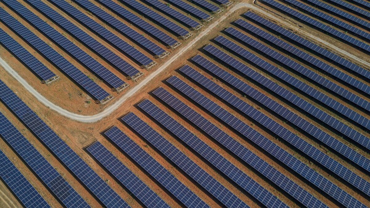 Nedbank, Norfund Acquire Stake in South Africa's Pele Energy