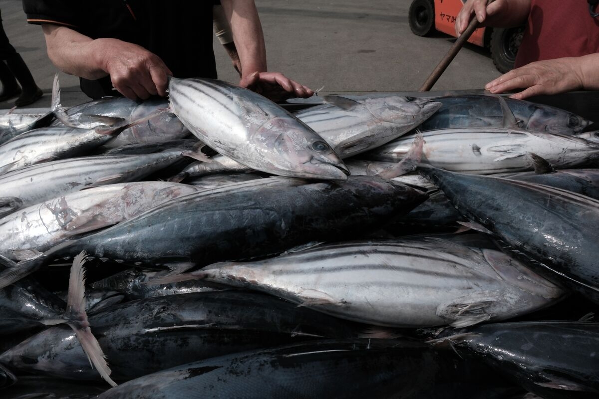 China Agrees to Resume Some Seafood Imports From Japan