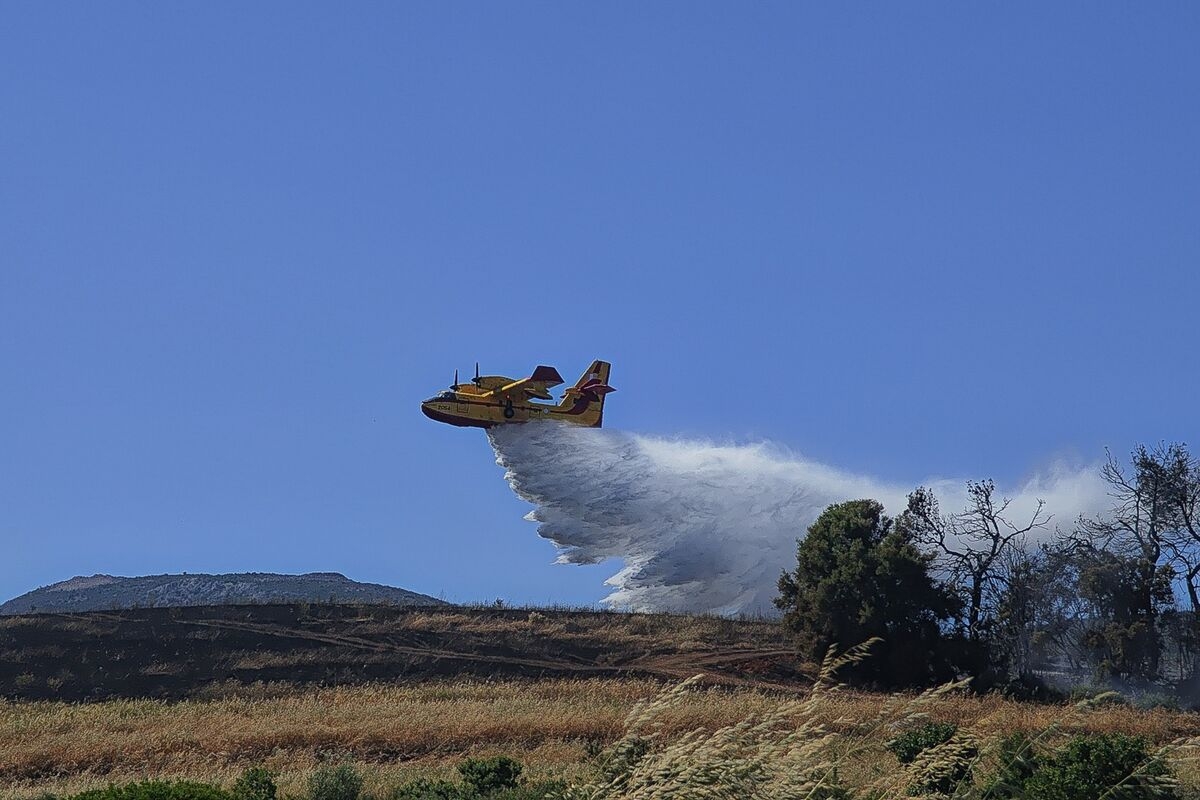 Greece Orders First Evacuation of Wildfire Season Near Athens