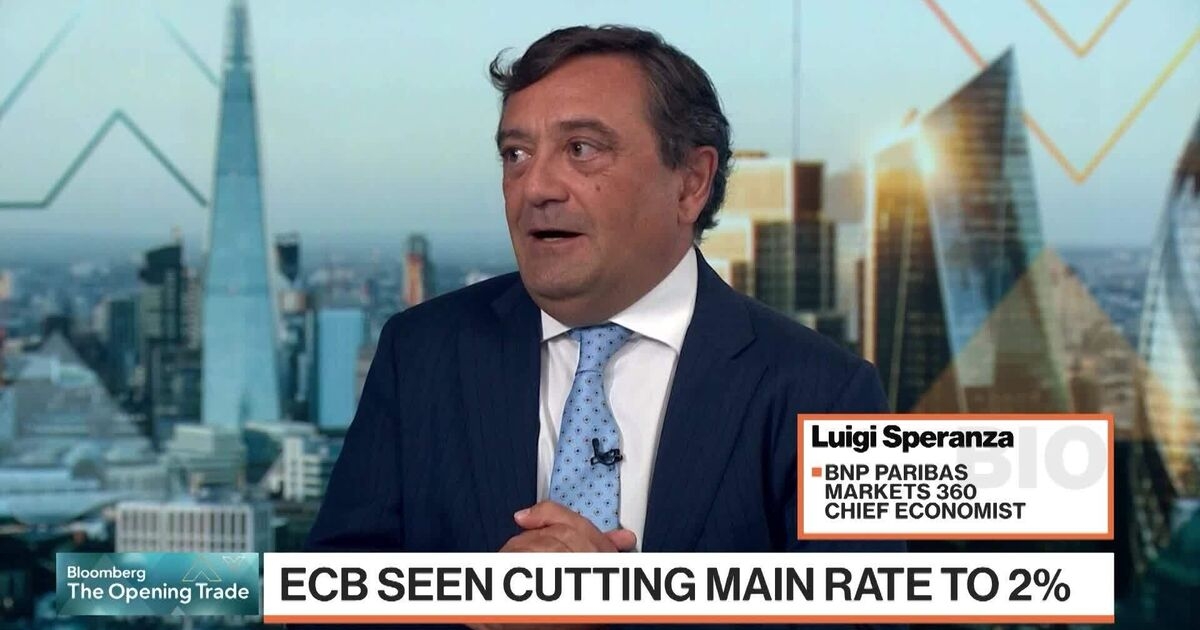 BNP Paribas' Speranza on ECB Rate Decision