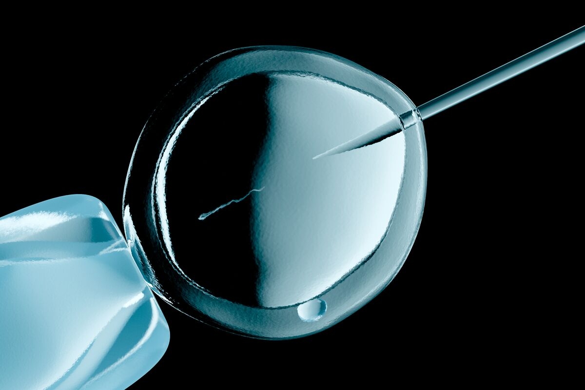 Monash IVF CEO Steps Down After Latest Embryo Transfer Mix-Up