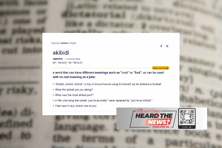 'Skibidi' added to Cambridge dictionary