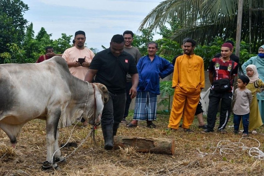 French tourists experience Aidiladha 'korban' in Kota Baru