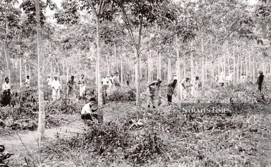 Growing up with NST: Stories of Bukit Jalil and its people