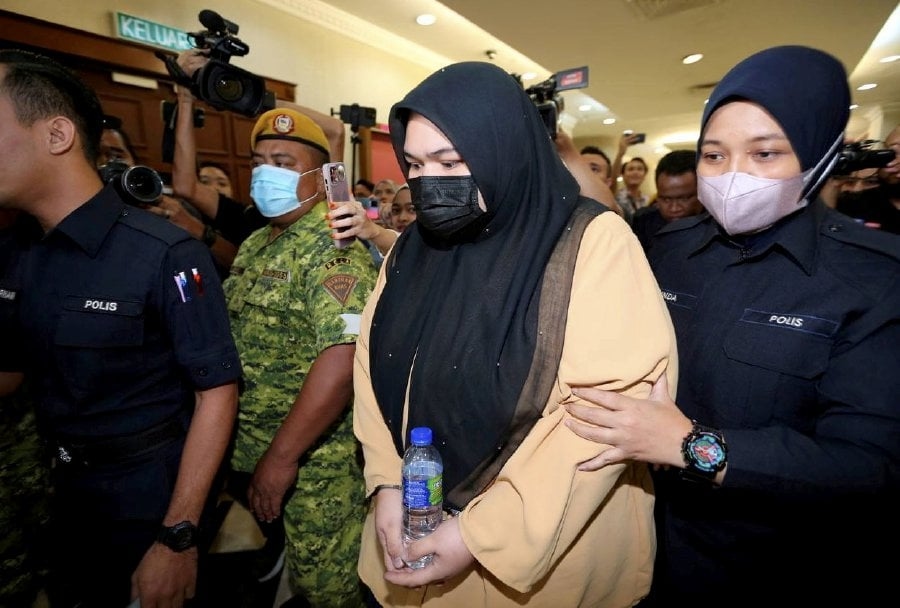 Judge slams Siti Bainun: 'Even an animal would not inflict such harm'