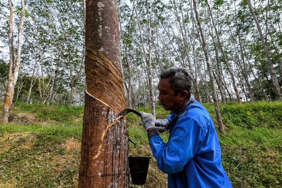 Malaysian rubber industry must set new ESG benchmarks: Chan
