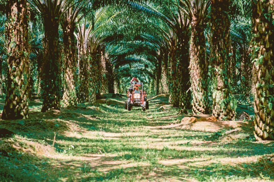 Johor Plantations issues RM200mil Sustainability Sukuk Wakalah-IMTN