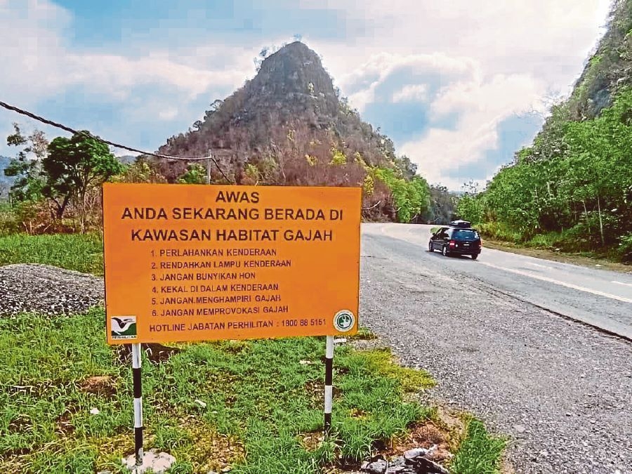 Battling for elephant safety on East-West Highway