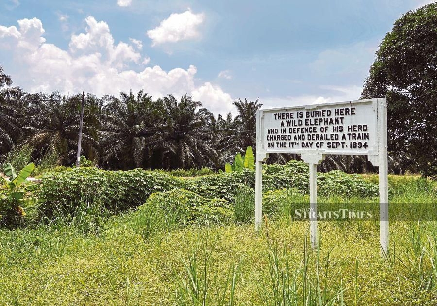 The forgotten remains of Teluk Intan's legendary elephant