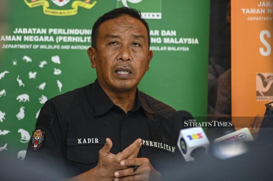 RM5.4 million worth of protected wildlife rescued at KLIA between 2023 and 2025