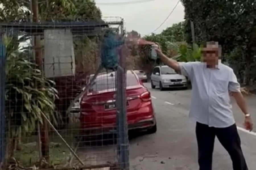 Animal lovers outraged as man spray-paints monkey