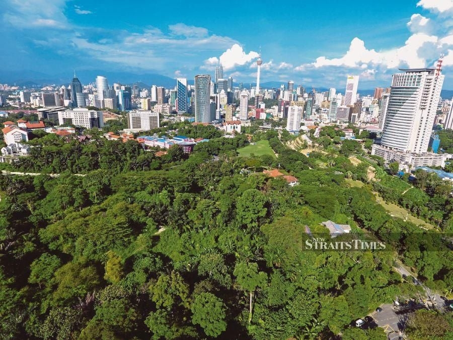 13MP to focus on value creation
