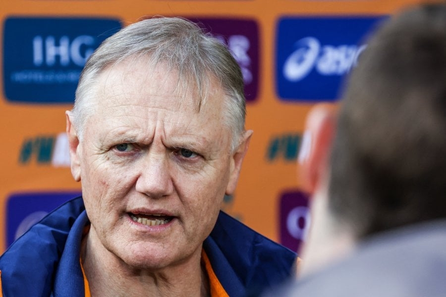 Wallabies confident but wary of wounded British and Irish Lions