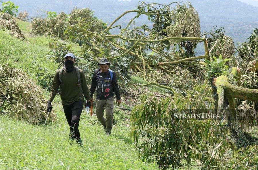 Pahang Forestry Dept carried out 114 enforcement operations in forest reserves since 2019
