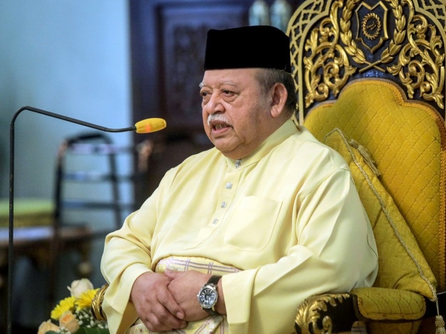 Raja of Perlis rebukes civil servants for putting self above public interest
