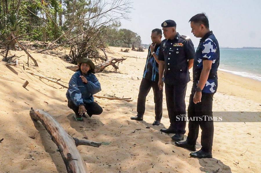 Poachers deploy 'disturbing tactics' to steal turtle eggs in Cherating