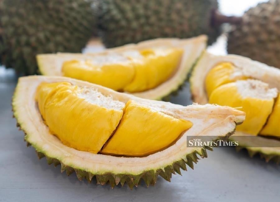 Penang to roll out 'Track & Trace' tech to protect its durians