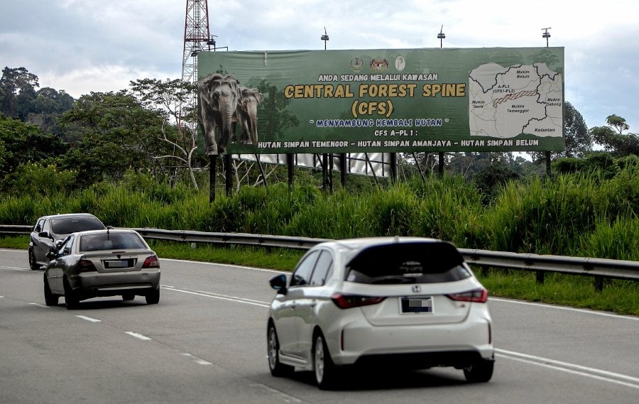 Elephant crossing zones identified in several Kelantan districts