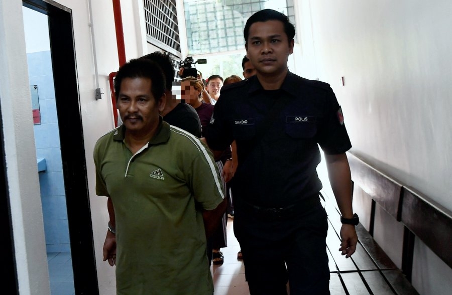 Lorry driver in FRU crash claims trial to concealing stolen cows