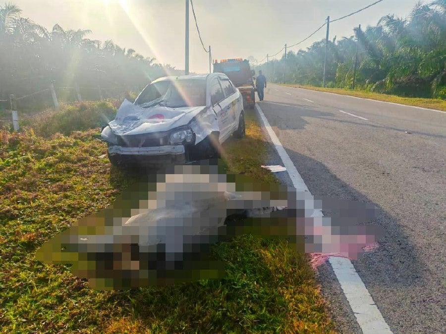E-hailing driver escapes unhurt after crashing into cow