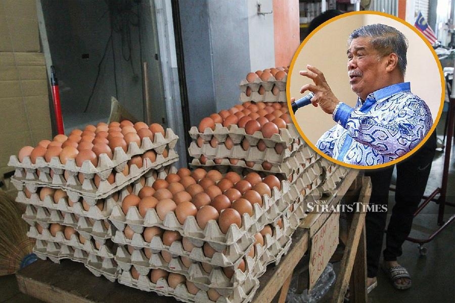 Mohamad Sabu: Egg prices unlikely to spike despite subsidy removal