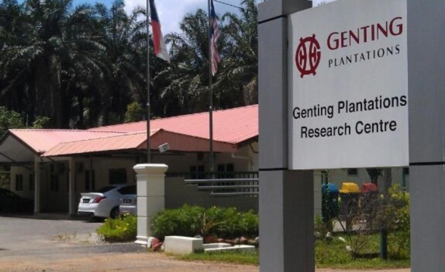Genting Plantations posts higher 1Q net profit of RM61.25mil