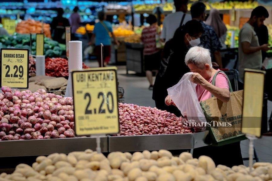 Consumer sector set for boost from cash aid, fuel reforms — analysts