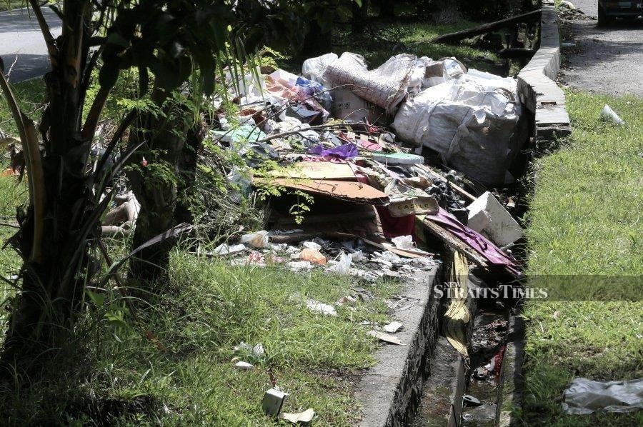 Law change to make litterbugs clean drains, roads and toilets