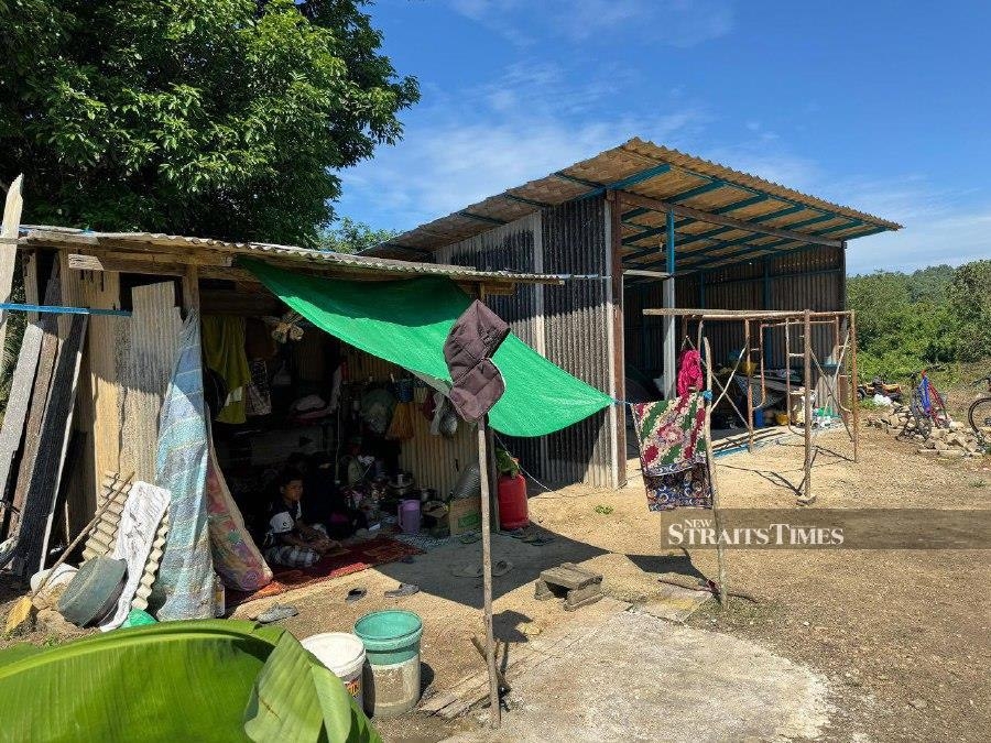 Help on the way for family living in makeshift hut