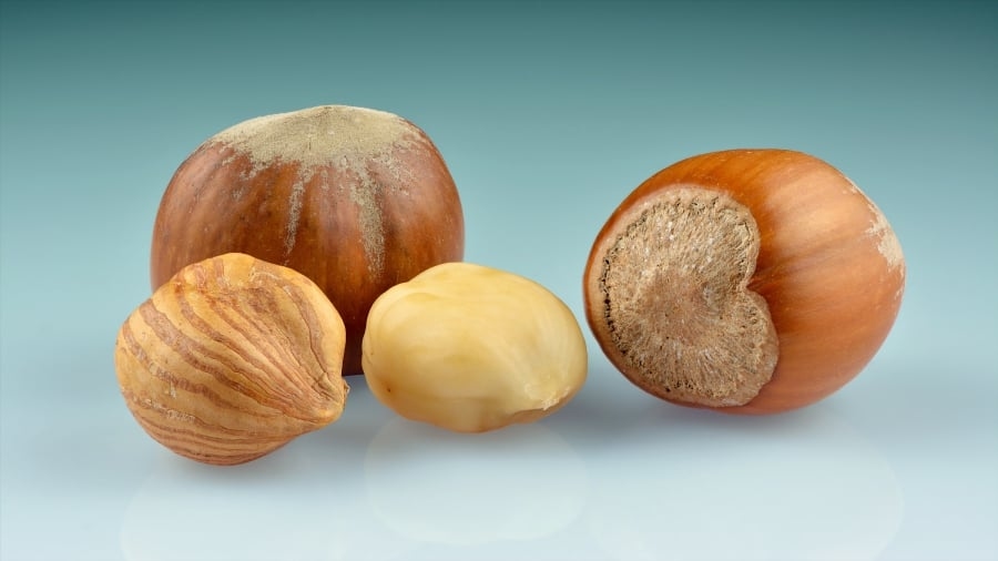 Hazelnut prices soar after April frost damages Turkish harvest