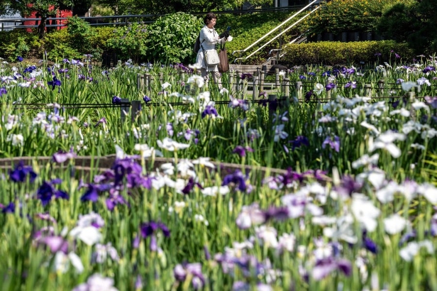 Longer exposure, more pollen: climate change worsens allergies
