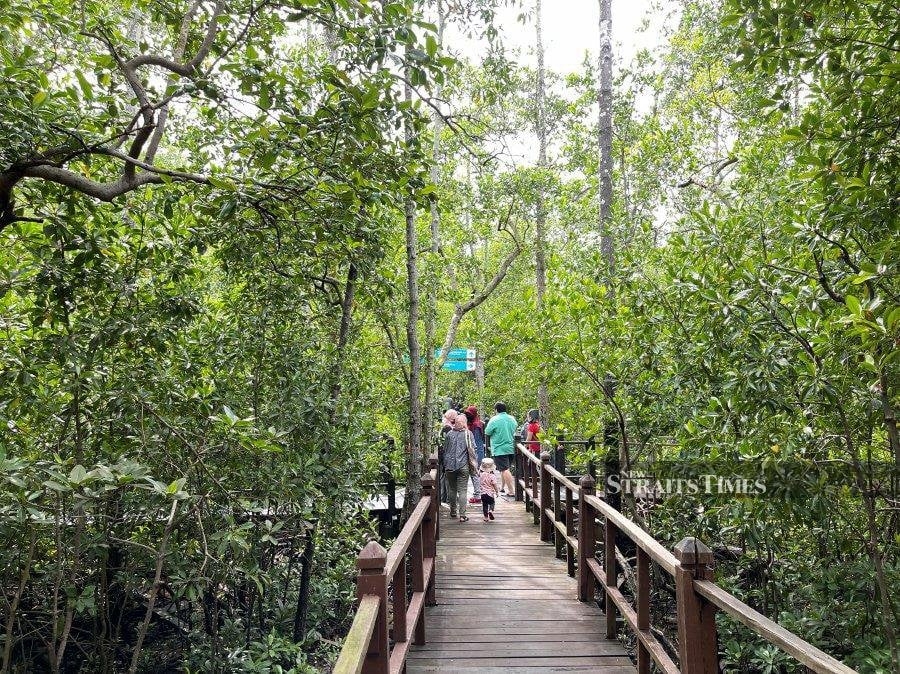 Forestry DG: Permanent Reserved Forests in Peninsular Malaysia stable, slight growth since 2000