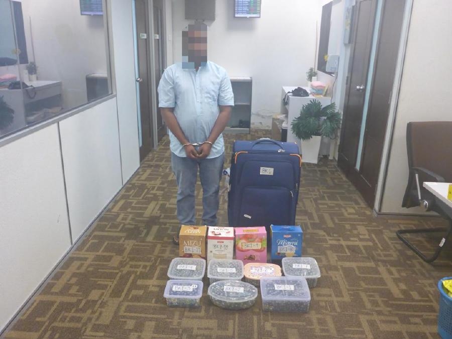 Foreigner caught with 2,500 turtles claims no knowledge of luggage contents
