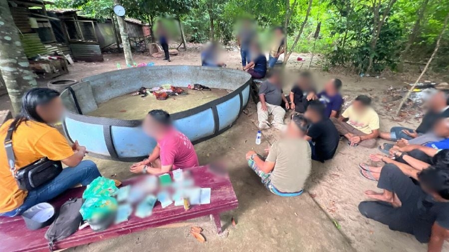 Police arrest 11 men in cockfighting raid